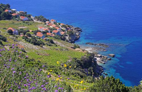 Family friendly seaside apartments Dingac - Borak, Peljesac - 18060 - Foto 44