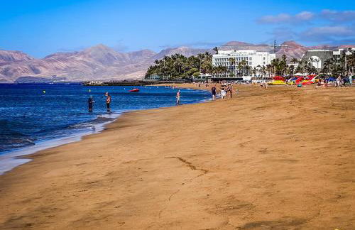 APARTAMENTO LANZA PALM - Foto 13