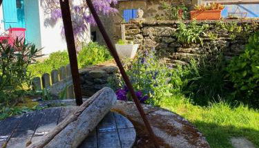 Chouk-Ezaï côte sauvage de l'île - Photo 4, Garden