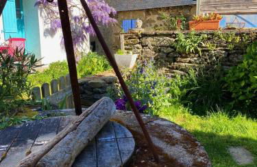 Chouk-Ezaï côte sauvage de l'île - Photo 4