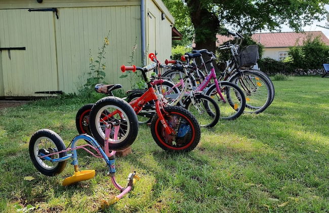 Ostsee-Landhaus - Foto 46