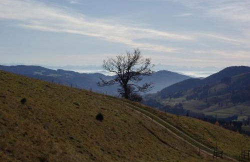 Haus Föhrenbach - Foto 25