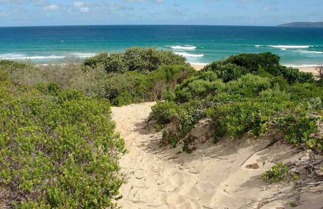 Chalet 40 Entire House Tranquil and Family-friendly Location - Photo 41