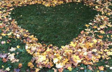 ZEIT für DICH - Foto 62