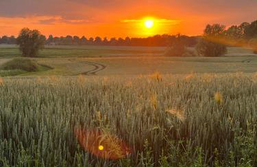 Landhaus Maltzien - Auszeit auf dem Land - Foto 7