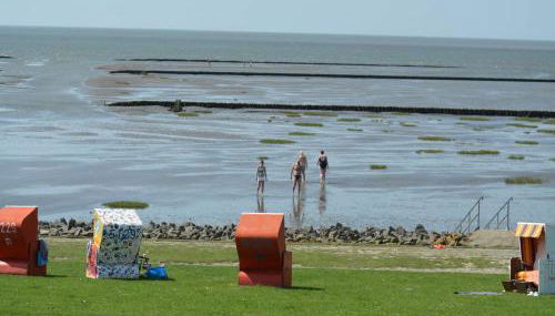 Ferienhof Folger - Foto 1