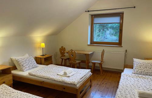 Agroturystyka Dom Wśród Sosen - Foto 59