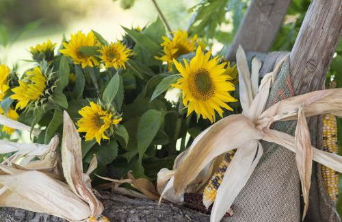 Appealing apartment with terrace - Foto 6