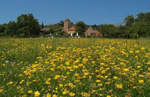 Gites du Boussagou - Foto 46