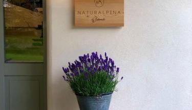 Loft Naturalpina Dolomiti Farm - Foto 4, Lobby or reception