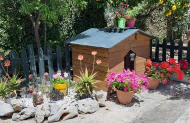 Iris-Gogo House - Foto 35