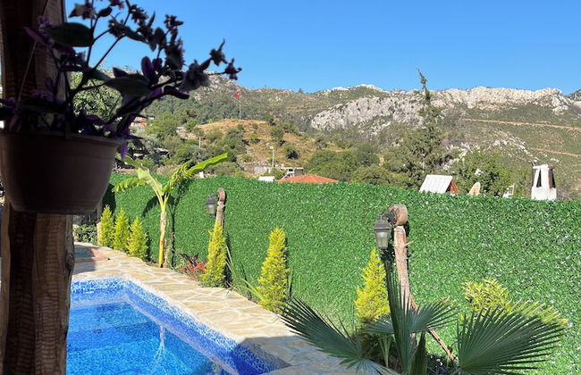 Afera Koy Evi - Foto 22