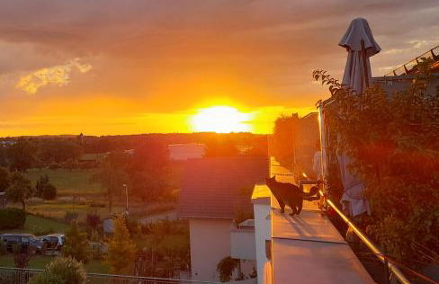 Tina's Lounge Penthousewohnung - Foto 30