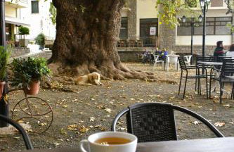 Το ΦΑΡΑΓΓΙ Του ΠΑΡΝΑΣΣΟΥ - Foto 29