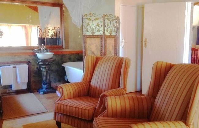 Fox and Squirrel - Foto 14