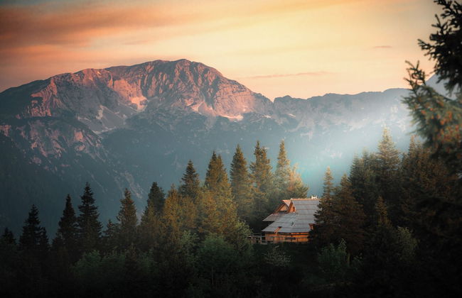 Koca Bistra - Velika planina - Foto 59