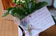 Apartamento Le Quartier - no centro, dois quartos, wi-fi, garagem, piscina, ar-condicionado, jacuzzi, sauna, etc - Photo 8