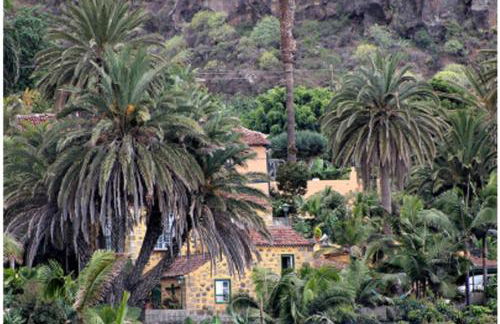 Finca Doña Juana - Foto 1