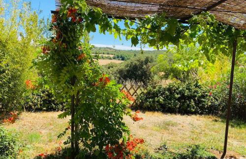 Chez Georges - Maison 4 - Les gîtes du Verdon - Foto 14