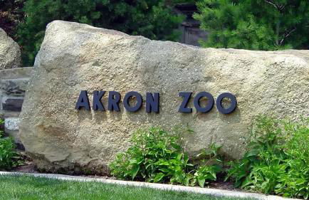 Akron 2 Bed 1 Bath Mountain Oasis Dog Friendly - Foto 16