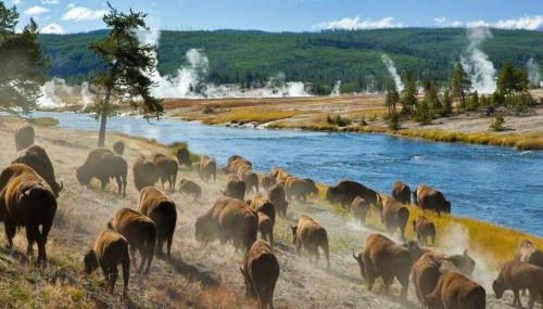 Rexburg Cottage - Brand New Neighborhood Downtown - Foto 5