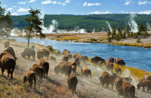 Rexburg Cottage - Brand New Neighborhood Downtown - Photo 5