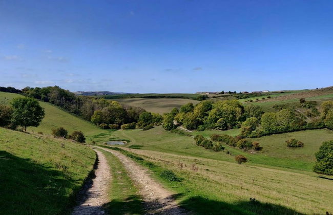 Cosy Cottage in Beautiful South Downs Walk 2 Pub - Photo 41