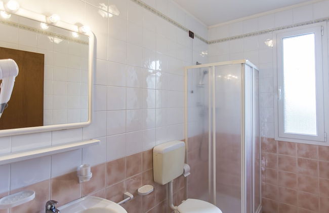 Calycanthus - Foto 35