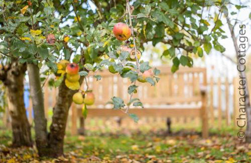 Oyster Barn - Foto 21