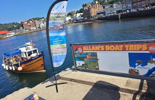 Tawny Owl Pod with Hot Tub - Foto 67