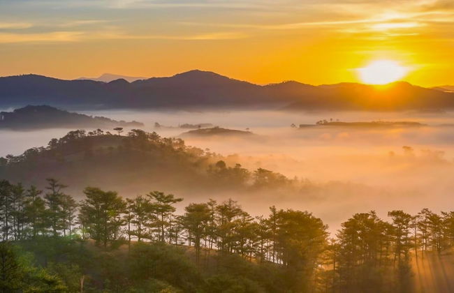 Jolie House - Foto 64