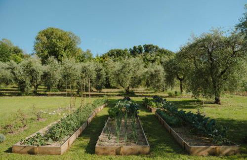 L'Angelica Corte Palazzina, Country Retreat - Foto 18