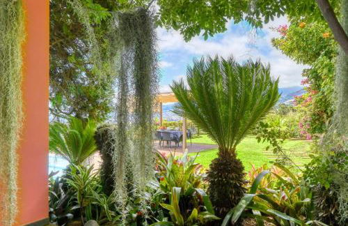 Casa das Bromélias, a Home in Madeira - Foto 46