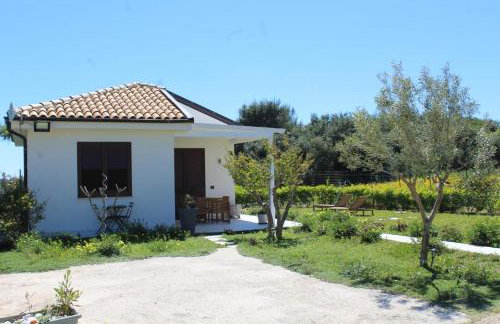 Nella valle dei templi e al mare - Foto 11