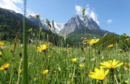Ferienwohnung Kramerblick - Foto 13