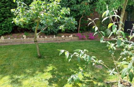 Beautiful 3-Bed Bungalow Kessingland rural retreat - Photo 29