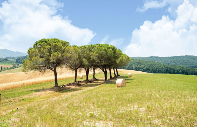 Apartment in Collesalvetti Near Pisa - Foto 31