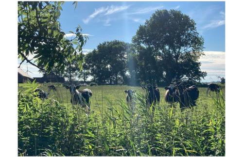 Holiday Apartment Nordnest - Foto 54