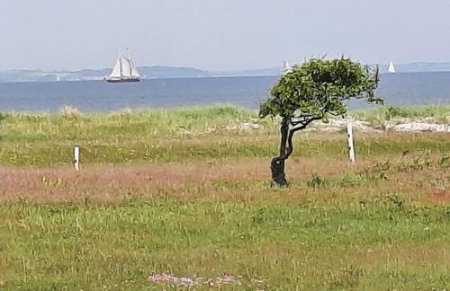 Wormshöft 16 - Foto 22