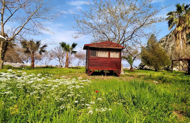 Kelebekler Vadisi Butterfly Valley - Foto 25