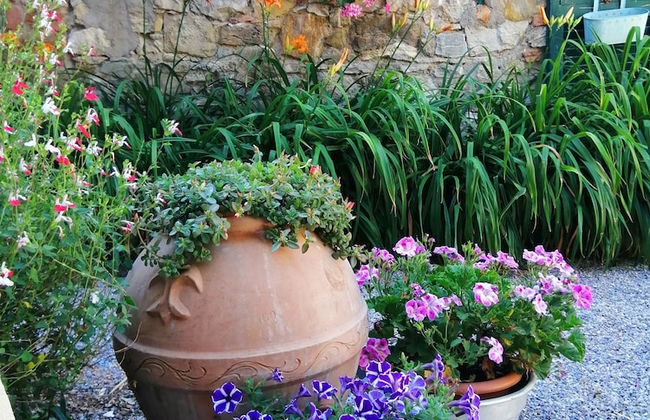 Podere Le Rote Private Farmhouse - Foto 37