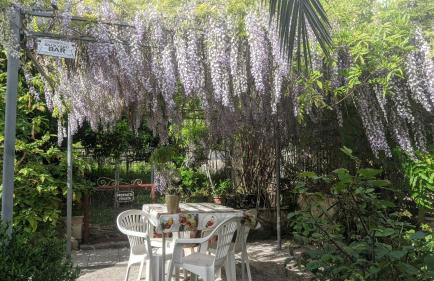 Villa Giulia al Vesuvio - Foto 23