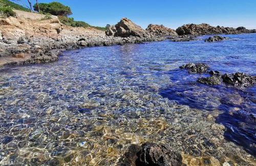 Pieds dans l'eau - La Villa Crique aux tortues - Foto 13