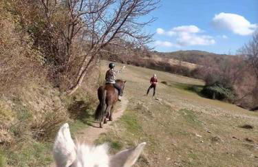 Casa Carmela, rural house with spectacular views, in an exquisite area - Foto 23