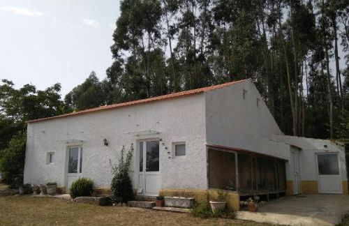 Quinta da Mesa - Foto 7