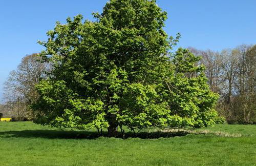 North Lodge - Photo 3