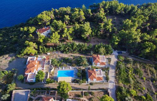 Kamelia Villas - Photo 62