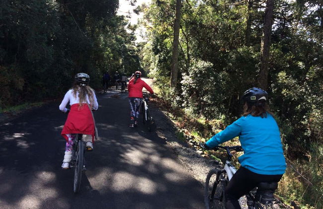 Villaggio Bassetti Vineyards Bike Tour - Photo 8