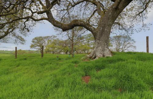 Wild Acre - Photo 21