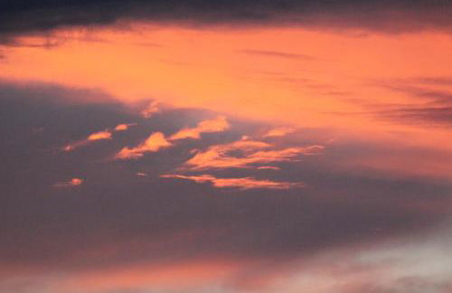 Agriturismo Pian dei Pini - Foto 25